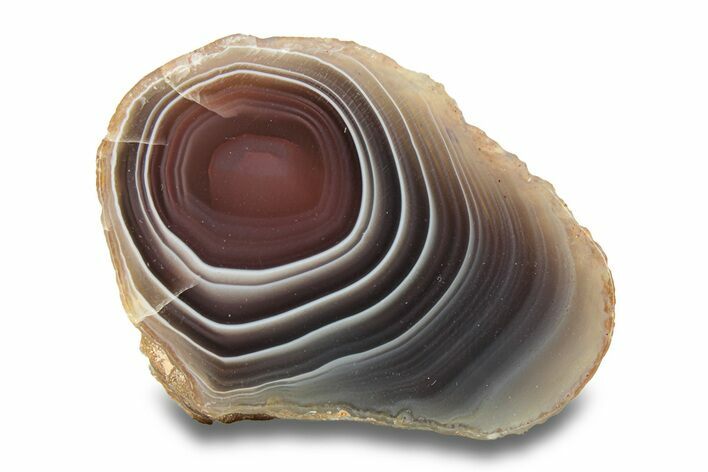 Polished Botswana Agate - Botswana #279740